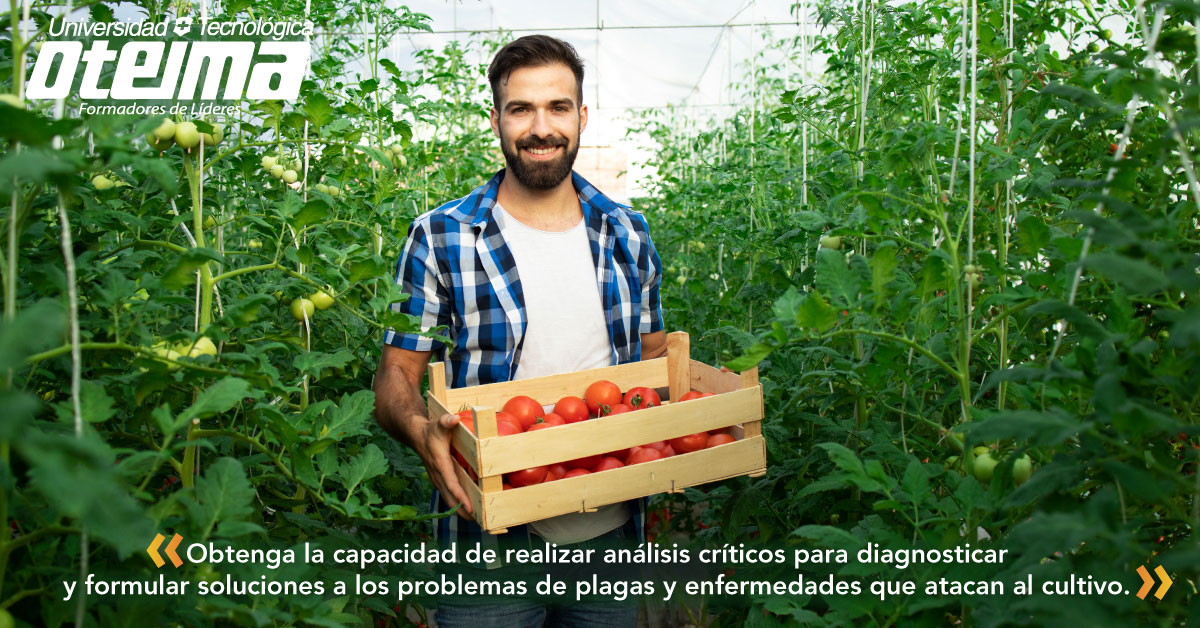Especialización en Protección de Cultivos Tropicales - Universidad  Tecnológica OTEIMA