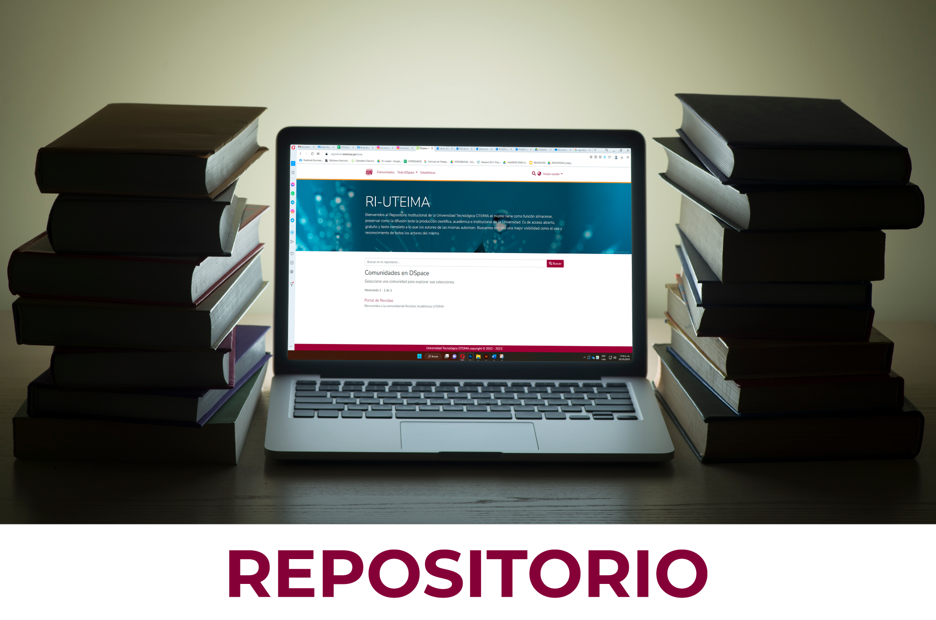 REPOSITORIO