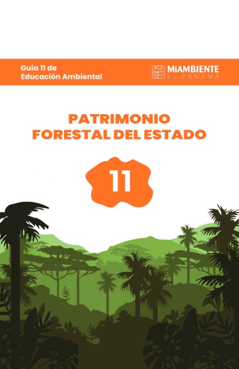Guía 11 de Educación Ambiental-1_page-0001