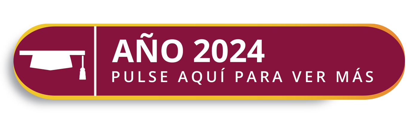 BOTÓN AÑO 2024