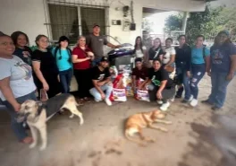 SaveClip.App_504345724_18514086901023052_7982924513444862448_n