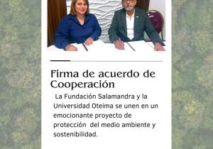 SaveClip.App_588563087_18076932788182273_3937245110450343385_n