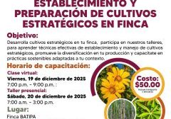 SaveClip.App_589541475_18546748978023052_7090820015331640017_n