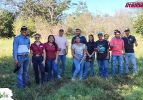 SaveClip.App_631766207_18562033153023052_5780844384961551134_n