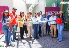 SaveClip.App_650980642_18572578429023052_2139249898723551161_n