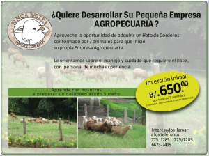 ventas-de-corderos1-300x224 ventas-de-corderos1-300x224