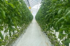 SaveClip.App_573331334_18539913958023052_437048124168013866_n