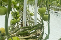 SaveClip.App_573825777_18539913949023052_7615459608428011547_n