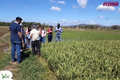 SaveClip.App_627654351_18562033165023052_3494720708513593353_n