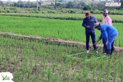 SaveClip.App_628297938_18562033141023052_1517868871674600456_n