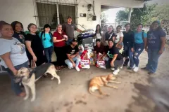 SaveClip.App_504345724_18514086901023052_7982924513444862448_n