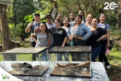 SaveClip.App_585010462_18545104519023052_5728272952457528370_n