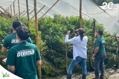 SaveClip.App_571465436_18539630410023052_5040857057424641644_n