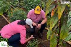 SaveClip.App_641173170_18570244171023052_9214186991538391616_n