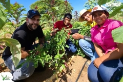 SaveClip.App_641761628_18570244153023052_4808655147889701489_n