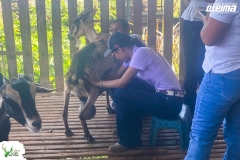 SaveClip.App_645767368_18570448264023052_4598939438266880625_n