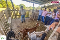 SaveClip.App_645837230_18570448255023052_4848276794820762256_n