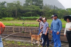 SaveClip.App_464758819_18466818412023052_5331790405237366256_n