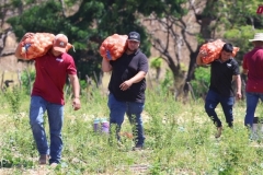 SaveClip.App_657339311_18578196475023052_4039420340359014697_n