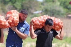 SaveClip.App_662893437_18578196505023052_77774040319417254_n