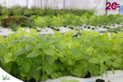 SaveClip.App_587809674_18546421876023052_6973413859114123840_n