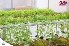 SaveClip.App_588438972_18546421894023052_139135811406521140_n