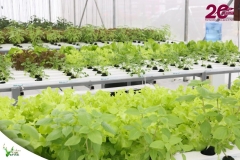 SaveClip.App_588442785_18546421930023052_7765835757238763739_n