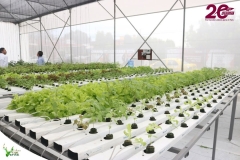 SaveClip.App_588945808_18546421903023052_1593896028770334042_n