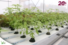 SaveClip.App_589142205_18546421921023052_1689886593361936407_n