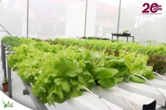 SaveClip.App_591034009_18546421867023052_4217480199972022656_n