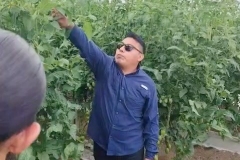 SaveClip.App_846348146_18639947641023052_2689679841956771805_n