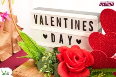 SaveClip.App_640429828_18568503604023052_8906445209056648861_n