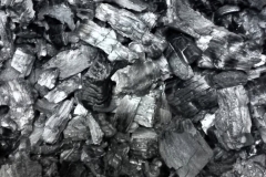 SaveClip.App_609863001_18551941498023052_6908345486345616676_n