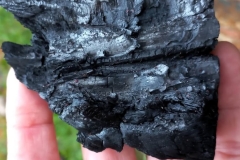 SaveClip.App_610755627_18551941507023052_6555194555120282139_n