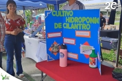 SaveClip.App_566079042_18536569258023052_7361144899555105764_n