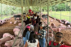 SaveClip.App_656225288_18578182165023052_2465631147920699393_n