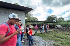 SaveClip.App_658811408_18578182186023052_6670736105998719597_n