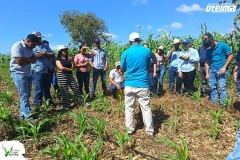 SaveClip.App_657746233_18578294035023052_916002235448549808_n