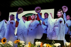 SaveClip.App_624372438_18557192881023052_8921538454307994637_n