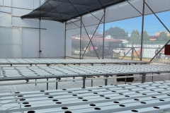 SaveClip.App_551846790_18480182830077836_4169662864485275188_n