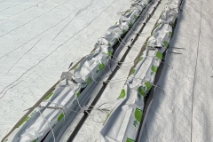 SaveClip.App_551887756_18480182731077836_8907171055122696029_n