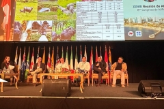 SaveClip.App_554676551_18531252571023052_384012841315732524_n