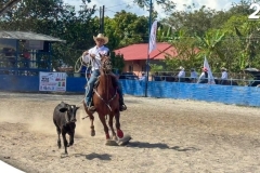 SaveClip.App_600369176_18548999482023052_7874200758590921049_n